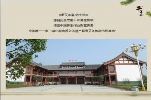 蕲艾市场探析 种植前景与商家报价趋势